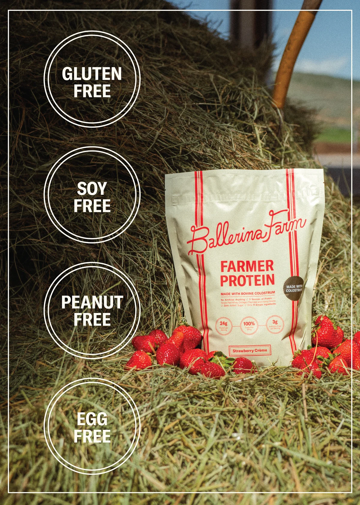Farmer Protein Powder